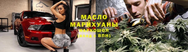 индика Богданович